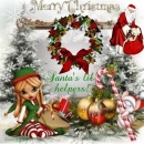 Santa's Lil Helpers