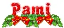 Pami 