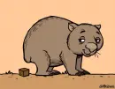 wombat