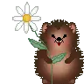 hedgehog with flower