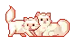 2 kitten