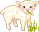 lamb