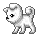 white puppy