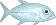white fish