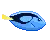 blue fish