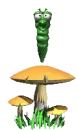 caterpillar