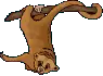 sloth