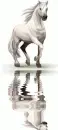 white horse