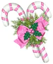 Christmas Candy Cane~!