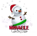 Snowman ~ Carina