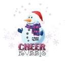 Snowman ~ Robbie