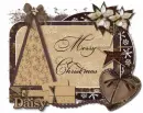 MerryChristmas~Daisy