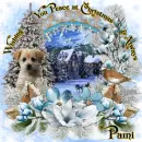 Wishing you Peace at Christmas & Always ~ Pami ~ Offer