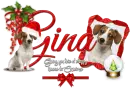 Gina Jack Russell Christmas