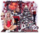 Merry Christmas Â© Vadis