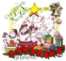 Christmas Wishes ~ Shakela