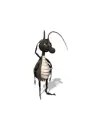ant