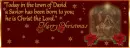 Merry Christmas