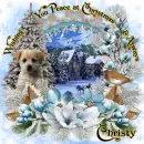 Christy