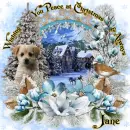 Jane