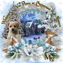 Mel