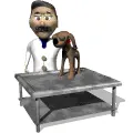 veterinarian