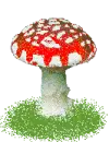 mushroom