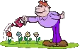 flower watering