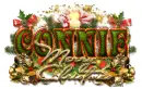 Connie-Merry Christmas 2015