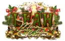 Leah-Merry Christmas 2015