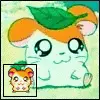 Hamtaro