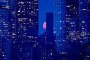 City 