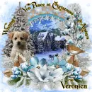 Veronica - fg