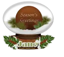 Seasons Greetings - Jane