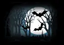 bats