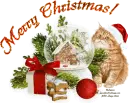 Merry Christmas!