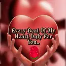 â™¡ ÊŸÓ«vÑ â™¥