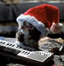 Gizmo