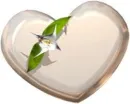chris_tal heart