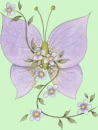 purple butterfly