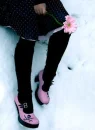 legs