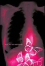 mariposas