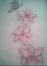 butterfly with 3 flowers