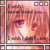 i wish i never loved you
