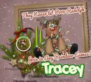 tracey