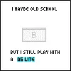 DS Lite