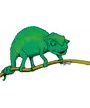 chameleon