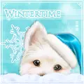 .Â·:*Â´Â¨âœ© Winter Avatar