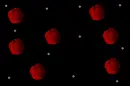 roses bg