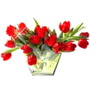 red tulips in a vase